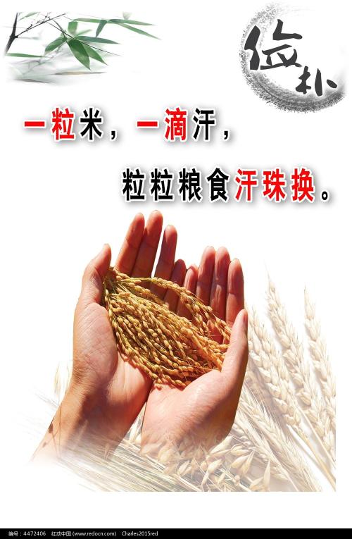 高中毕业证是红底蓝底